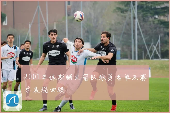 2001年休斯顿火箭队球员名单及赛季表现回顾