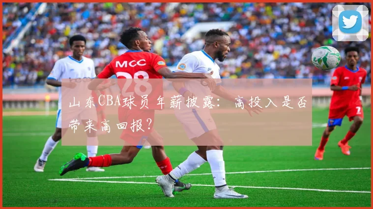 山东CBA球员年薪披露：高投入是否带来高回报？