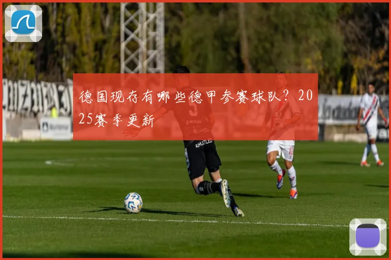 德国现存有哪些德甲参赛球队？2025赛季更新