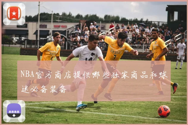 NBA官方商店提供哪些独家商品和球迷必备装备