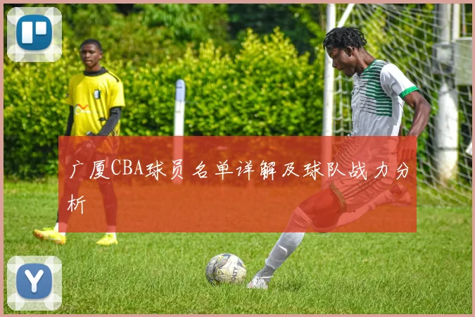 广厦CBA球员名单详解及球队战力分析