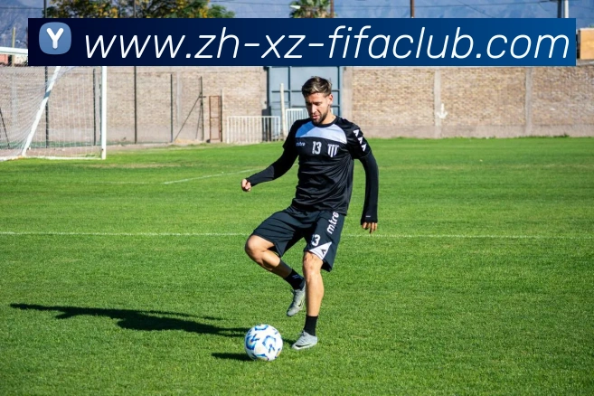 世界杯直播平台生态图